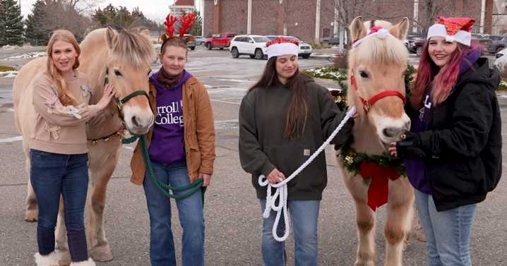 Carroll College anthrozoology horses bring holiday cheer