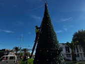 Encendido del árbol reunió a cientos de familias en Teno