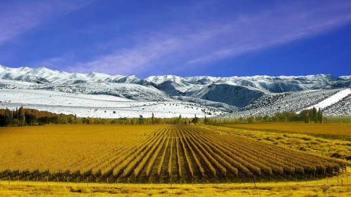 ¿Qué destinos buscan los argentinos para el fin de semana largo del 8 de diciembre?