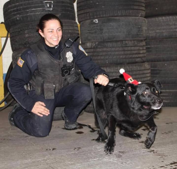 Buffalo Police mourn loss of retired K9 Georgie, honored for years of service