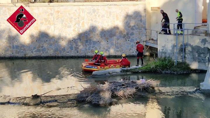 Aparece un cadáver flotando en el río Segura en Orihuela