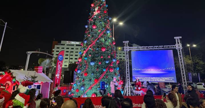 Encienden la navidad Calimax