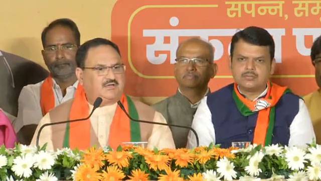 Mahayuti to fight civic, local body polls unitedly: Chavan