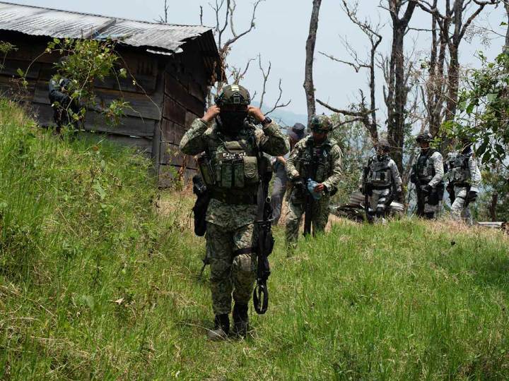 Operación Frontera Norte asegura precursores en Sinaloa por mil 032 mdp