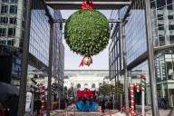 D.C. aims to set world record for most couples kissing under mistletoe