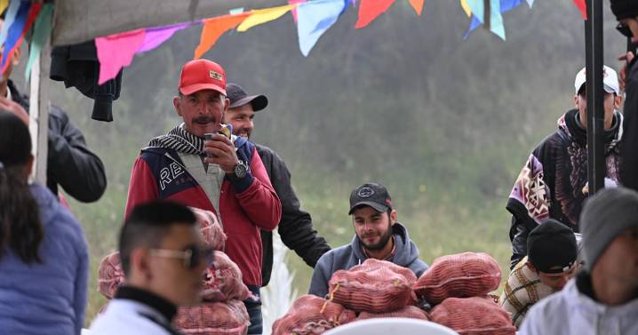Vereda de Manizales a 3.700 m s.n.m. gozó con su segundo Festival de la Papa: tradición agrícola