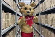 Chiribaya, mascota de los Bolivarianos, visita el AGN para conocer documentos históricos