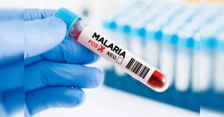 Malaria deaths rose in 2024, funding cuts risk surge, WHO says