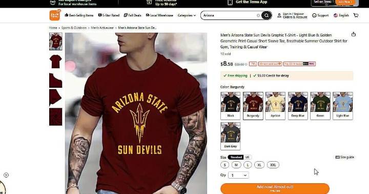 Arizona AG suing Chinese-owned Temu over fraudulent items