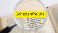 Word of the Day: ‘schadenfreude’ — if you’re the Grinch this holiday season, this word is for you