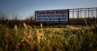 Trump administration to direct more water to California farms