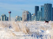 Calgary photographers around town for the November 28