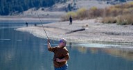 Algae bloom warnings lifted for five New Mexico lakes