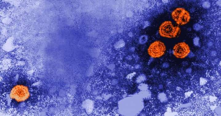 State authorizes hepatitis B vaccines amid CDC change