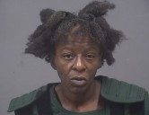 Youngstown woman sentenced to probation for endangering 11