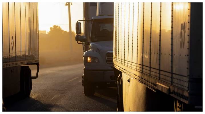 Pune: Illegal Firewood Transport Foiled Near Otur; Forest Dept Seizes Truck