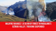Wildfire Ravages 1.8 Sq Km of Forest in Nagaland’s Dzükou Valley, Trekking Suspended