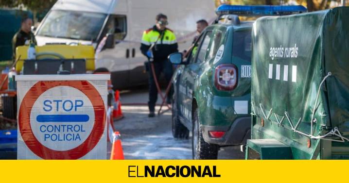 Confirmados siete nuevos casos de peste porcina en jabalíes en Collserola