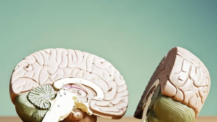 The 'Supernova' effect: AIIMS completes trial of India’s first homegrown stroke stent