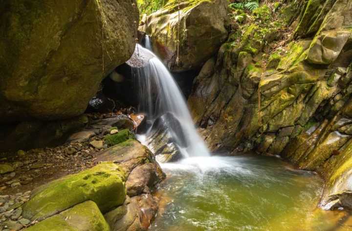 Conforman comité para proteger la “fábrica de agua” de Jaén y conservar 14 mil hectáreas de bosques