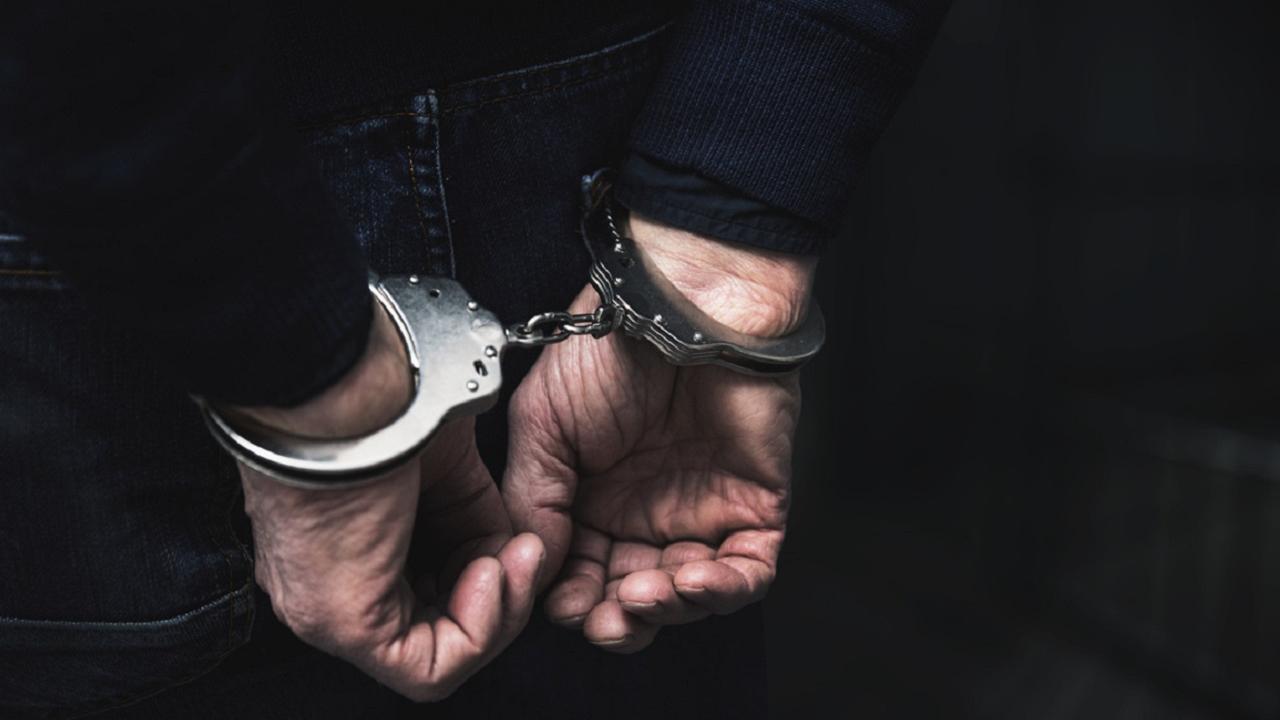 Maharashtra: Liquor worth Rs 10.17 lakh seized in Palghar; one held