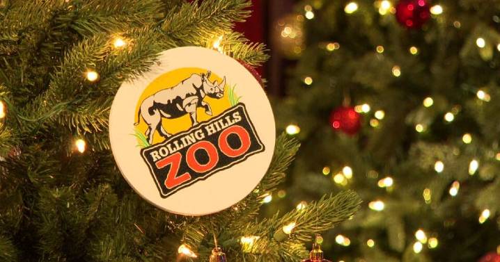 ‘Animals in a whole different light:’ Holiday Lights at the Museum returns to Salina’s Rolling Hills Zoo
