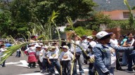 Palmeros de Venezuela celebran aniversario como patrimonio