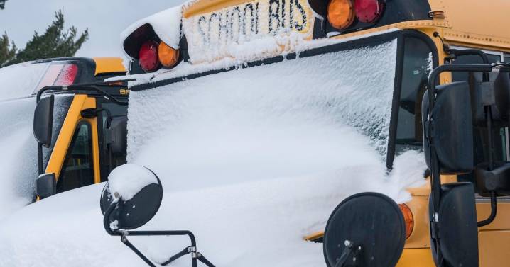 Some Minnesota schools closing as winter storm blows in. See the latest listings.