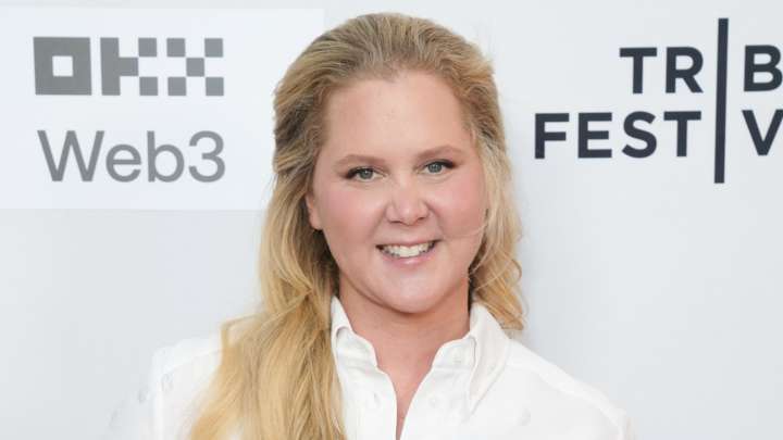 Amy Schumer All But Confirms The Chris Fischer Divorce Rumors Aren't Baloney