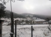 Prevén posibles nevadas en sierra de Durango este 5 de diciembre