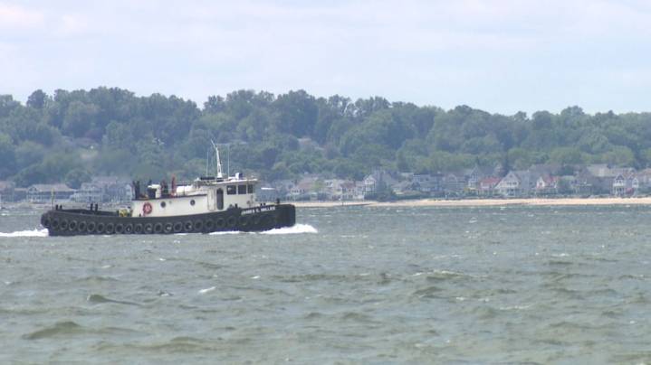 Hypoxia levels in Long Island Sound drop to record lows, encouraging marine life