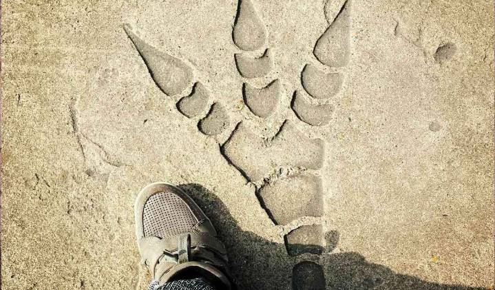 Scientists document largest trove of dinosaur footprints in central Bolivia