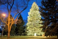 A Very Merry Berthoud will debut with parade, ice skating and 80