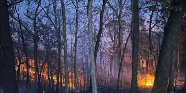 KY3 Digital Extra: Missouri state regulators and utilities work to prevent wildfires