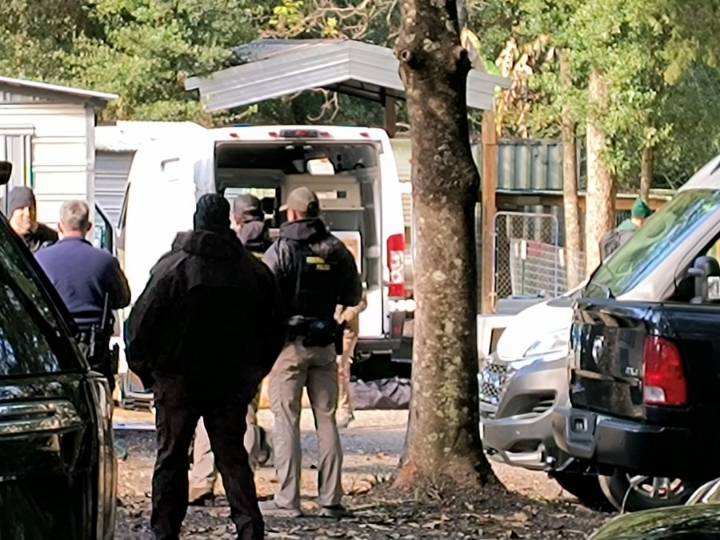 US Fish and Wildlife investigating Tillman's Corner home with over a dozen monkeys