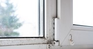 Stop opening windows to banish mould – 1 method works much better 