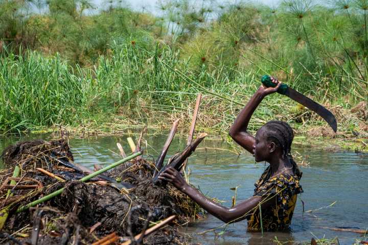 South Sudanese community fights to save land from relentless flooding worsened by climate change