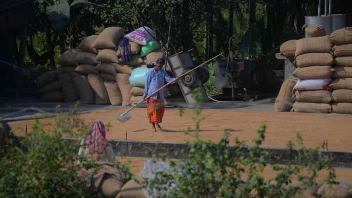 Rice meant for Karnataka’s Anna Bhagya scheme stolen, being sold in Singapore: BJP MLC C T Ravi