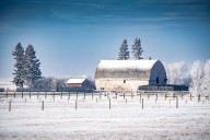 Gross weather in the forecast for Alberta and snow is on the way