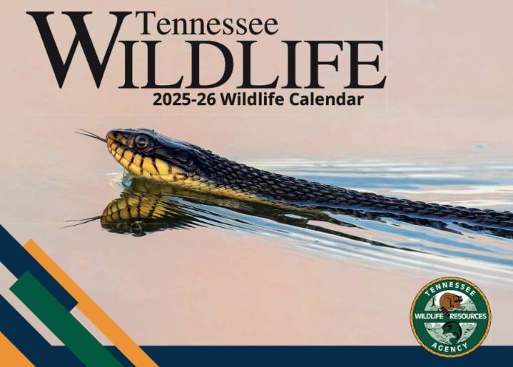 TWRA opens annual wildlife photo contest