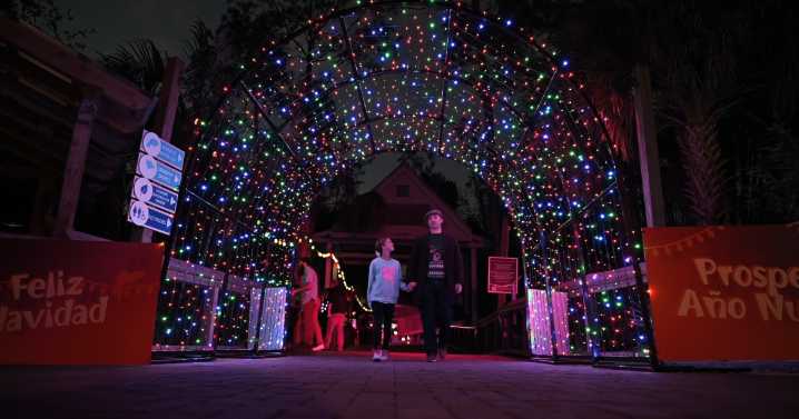 Things to do in Tampa Bay this weekend