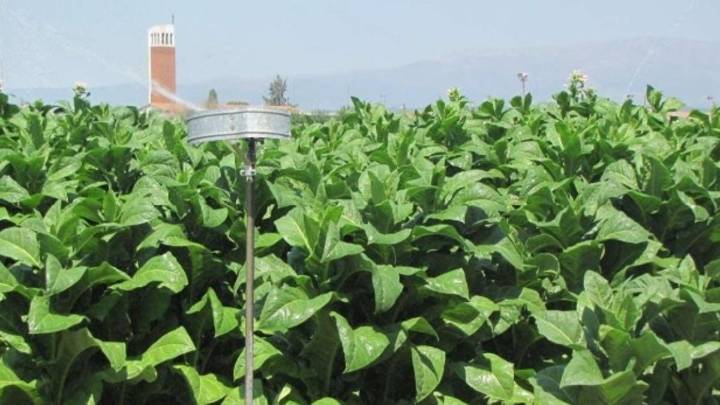 La Junta destina siete millones de euros a modernizar los regadíos en Extremadura