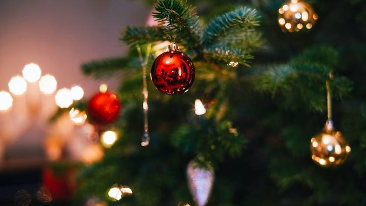 Most incredible Christmas trees from around the world you can visit