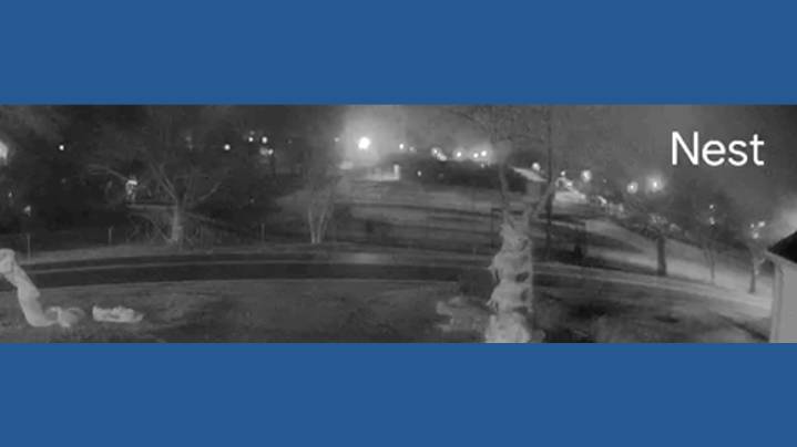 10 bullets struck house in overnight Monroe shooting