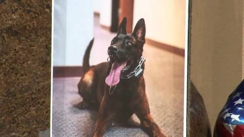 Burbank police K-9 Spike to be honored at memorial service and procession today after being killed on duty
