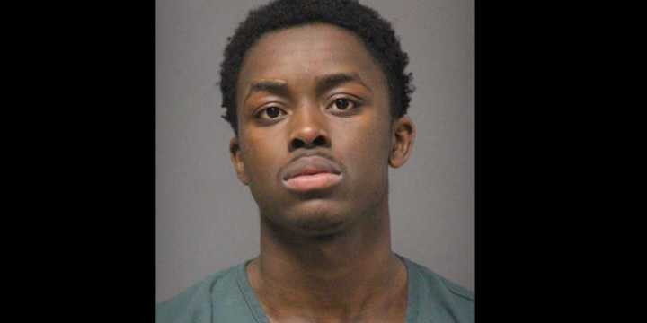 Thug attacks mother walking her toddler in stroller, cops say; 10 days later