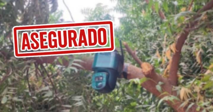 Hallan cámara con celda solar oculta en árbol de Navolato; presumen vigilancia del crimen organizado