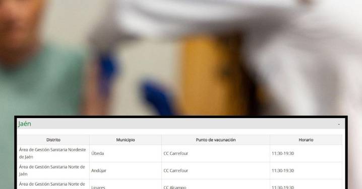 Estos son los cuatro centros comerciales de Jaén que vacunarán contra la gripe sin cita previa y los horarios
