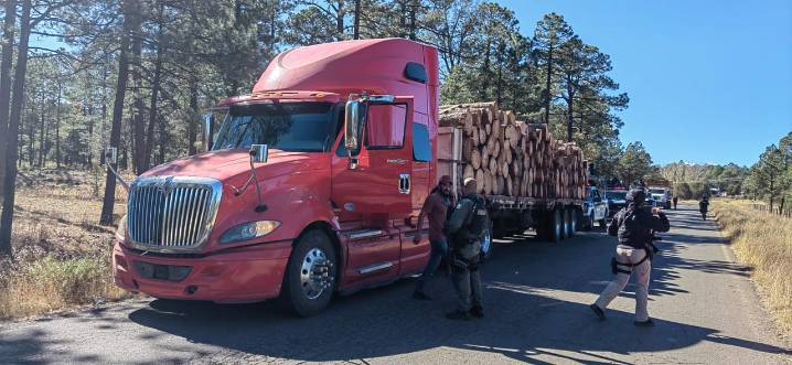 Aseguran madera ilegal tras operativo en Guachochi