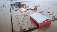 Fear and frustration as floods put Abbotsford, B.C., farms under threat yet again